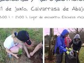 Jornada voluntariado, recogida residuos, reciclaje reforestación.