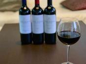 Bodegas Viña Mayor presenta Nueva Ribera”.