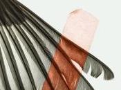 “Todo demás silencio”, Manuel Lorenzo