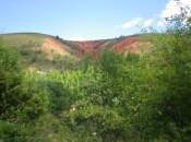 Borrachera colores Sierra Norte Guadalajara