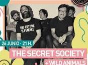 Secret Socity Wild Animals Sala