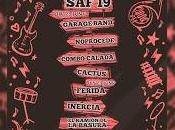 Fiestas Antonio 2019