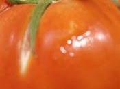 plena temporada tomates descubre tomate debe faltar nuestra dieta