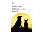 David Safier balada Amelie (reseña)