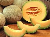Todo sobre melón