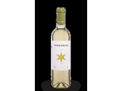 Peregrino Verdejo 2018