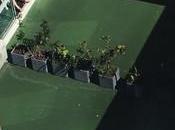 placer (re)descubrir Livingston