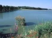 Cola Embalse Bornos