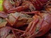 'Crawfish', sabroso cangrejo Louisiana