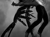 Hush, Hush