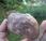 piedro Marte