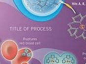 Manejo infecciones Staphylococcus Aureus resistente meticilina (SARM) (parte