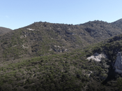 UNAM realizará estudio para protección Sierra Miguelito