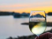 Cómo afecta calor vino