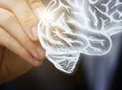 aportes neurociencia comportamientos neurolíder.