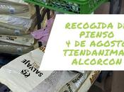 Recogida pienso para senda Gala» (Alcorcón)