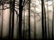 Oficios Cazador (Parte