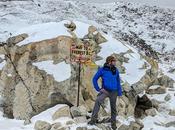 Como viajero, viajando