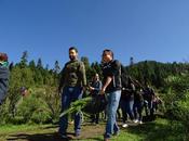Plantan edoméx árboles jornadas reforestación social