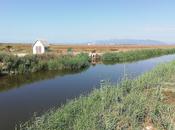 delta ebro