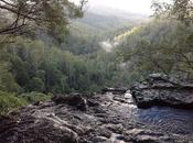 Springbrook national park