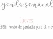 Agenda Semanal 19/08 25/08