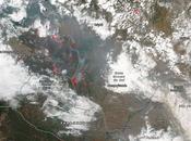 Incendios forestales Amazonia (19/08/2019)