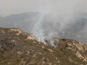 Detienen conato incendio Sierra Miguelito