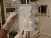 Apoya banco tejidos compuestos para tratamientos cirugías especialidad