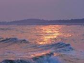 Juegan olas...
