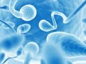 problemas afectan producción espermatozoides