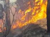 Incendios África: “segundo pulmón verde” planeta también arde