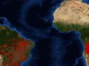 segundo pulmón mundo igual esta llamas: Incendios África superan Brasil