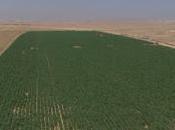 Tecnologia para Revivir Desiertos