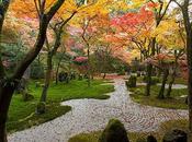 Ecuanimidad tormenta