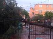 Lluvia torrencial causa estragos iztapalapa