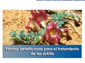 Artricenter: Plantas beneficiosas para tratamiento Artritis. PARTE