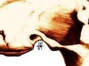 Prehistoria Oriente Próximo