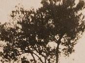 Quique González nave locos (2019)