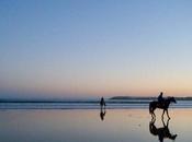 Caballos Ibiza