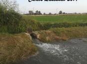Exportando agua vida.