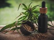 ¿cómo obtener vender cannabis medicinal colombia?
