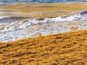 Elena Duran: Cazadora cazadores