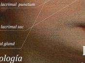 Javier Font: piedras lloramos