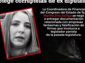 corrupción Diputados protegida Coordinadora Finanzas:Ciudadanos Observando