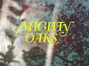 Mighty Oaks estrenan videoclip para things