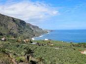 Tenerife días: Imprescindibles isla