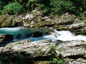 Visitar Vintgar Gorge: Paseando entre cascadas aguas turquesas