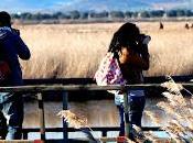 Declaración emergencia climática castilla mancha