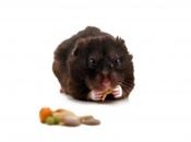 Psicología aprendizaje: algunas notas